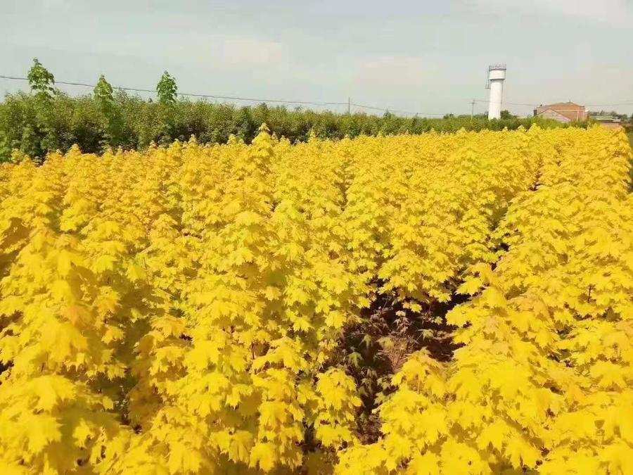 微信图片_20201110145808.jpg